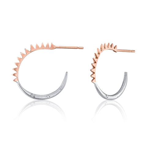 Large Sun Moon Hoop Earrrings